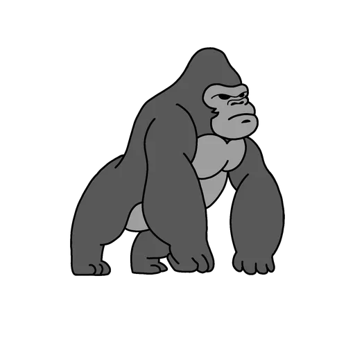 gorilla